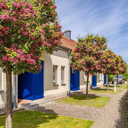 Apartment Biber Mit Terrasse Dewichow Kültér fotó